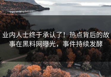 业内人士终于承认了！热点背后的故事在黑料网曝光，事件持续发酵