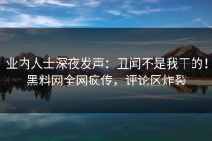 业内人士深夜发声：丑闻不是我干的！黑料网全网疯传，评论区炸裂