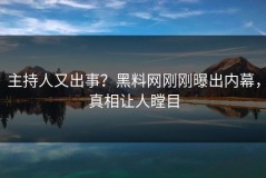 主持人又出事？黑料网刚刚曝出内幕，真相让人瞠目