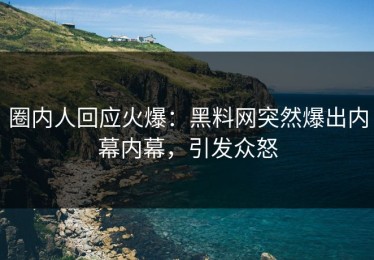 圈内人回应火爆：黑料网突然爆出内幕内幕，引发众怒