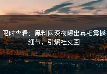 限时查看：黑料网深夜曝出真相震撼细节，引爆社交圈