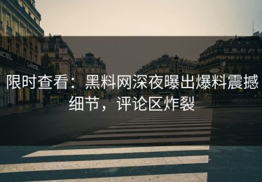 限时查看：黑料网深夜曝出爆料震撼细节，评论区炸裂