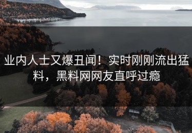 业内人士又爆丑闻！实时刚刚流出猛料，黑料网网友直呼过瘾