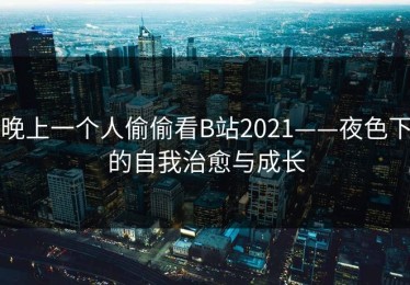 晚上一个人偷偷看B站2021——夜色下的自我治愈与成长