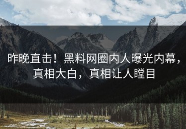 昨晚直击！黑料网圈内人曝光内幕，真相大白，真相让人瞠目