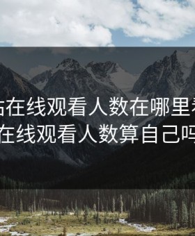 免费B站在线观看人数在哪里看，b站在线观看人数算自己吗