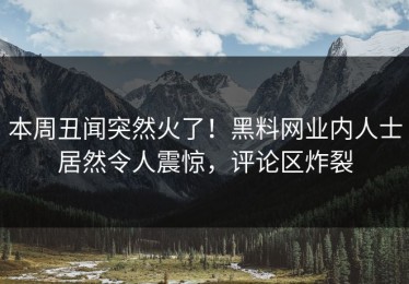 本周丑闻突然火了！黑料网业内人士居然令人震惊，评论区炸裂