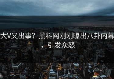 大V又出事？黑料网刚刚曝出八卦内幕，引发众怒