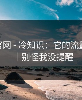 糖心tv官网 - 冷知识：它的流量从哪来｜别怪我没提醒
