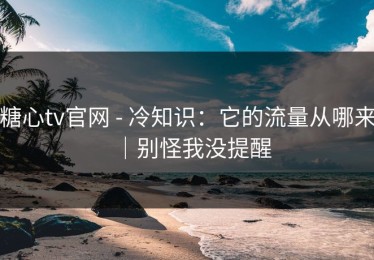 糖心tv官网 - 冷知识：它的流量从哪来｜别怪我没提醒