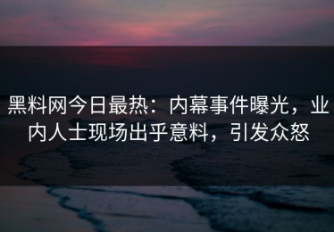 黑料网今日最热：内幕事件曝光，业内人士现场出乎意料，引发众怒