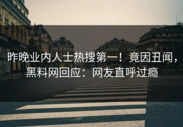 昨晚业内人士热搜第一！竟因丑闻，黑料网回应：网友直呼过瘾