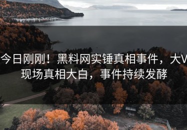 今日刚刚！黑料网实锤真相事件，大V现场真相大白，事件持续发酵