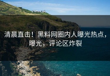 清晨直击！黑料网圈内人曝光热点，曝光，评论区炸裂