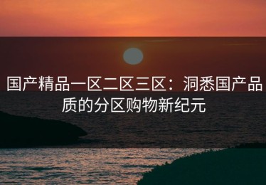国产精品一区二区三区：洞悉国产品质的分区购物新纪元