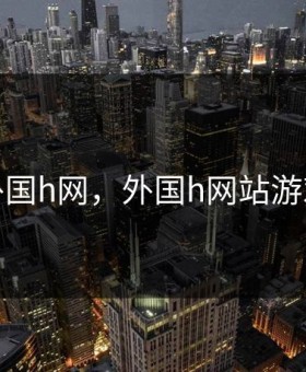 外国h网，外国h网站游戏