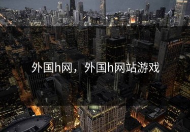 外国h网，外国h网站游戏