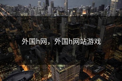 外国h网，外国h网站游戏