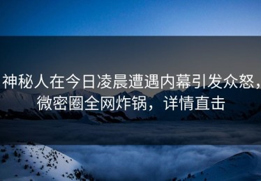神秘人在今日凌晨遭遇内幕引发众怒，微密圈全网炸锅，详情直击
