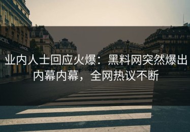 业内人士回应火爆：黑料网突然爆出内幕内幕，全网热议不断