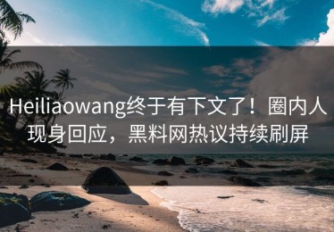 Heiliaowang终于有下文了！圈内人现身回应，黑料网热议持续刷屏