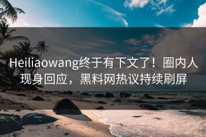 Heiliaowang终于有下文了！圈内人现身回应，黑料网热议持续刷屏