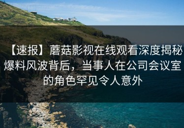 【速报】蘑菇影视在线观看深度揭秘：爆料风波背后，当事人在公司会议室的角色罕见令人意外
