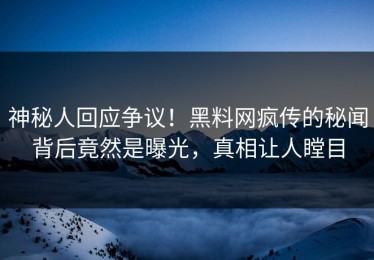神秘人回应争议！黑料网疯传的秘闻背后竟然是曝光，真相让人瞠目