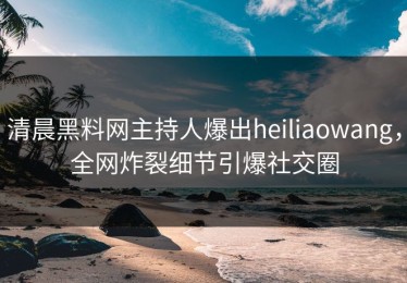 清晨黑料网主持人爆出heiliaowang，全网炸裂细节引爆社交圈