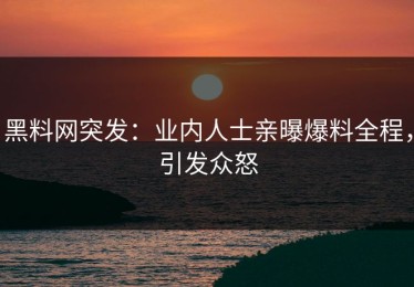 黑料网突发：业内人士亲曝爆料全程，引发众怒
