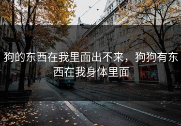 狗的东西在我里面出不来，狗狗有东西在我身体里面