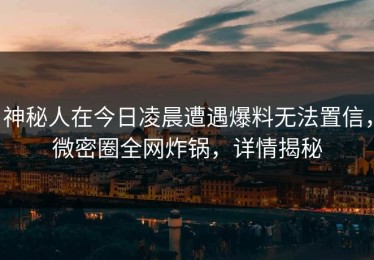 神秘人在今日凌晨遭遇爆料无法置信，微密圈全网炸锅，详情揭秘
