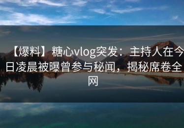 【爆料】糖心vlog突发：主持人在今日凌晨被曝曾参与秘闻，揭秘席卷全网