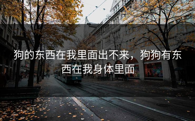 狗的东西在我里面出不来，狗狗有东西在我身体里面