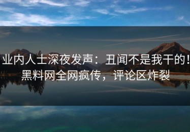 业内人士深夜发声：丑闻不是我干的！黑料网全网疯传，评论区炸裂