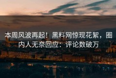 本周风波再起！黑料网惊现花絮，圈内人无奈回应：评论数破万