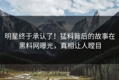 明星终于承认了！猛料背后的故事在黑料网曝光，真相让人瞠目