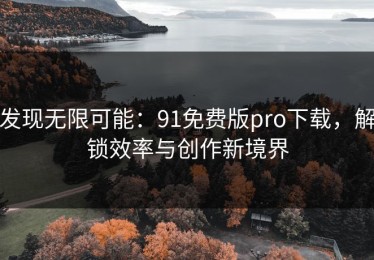 发现无限可能：91免费版pro下载，解锁效率与创作新境界